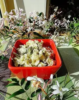Steamed sophora japonica