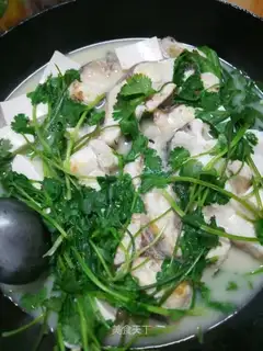 Blue fish tofu soup