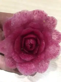 Radish