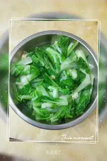 Piggy cabbage