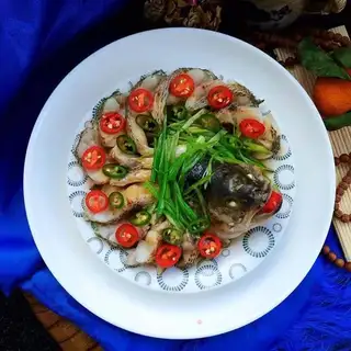 Peacock bass