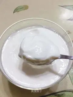 Homemade yogurt