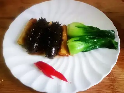 The sea cucumber