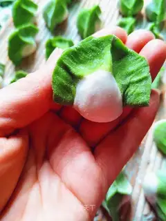 Cabbage dumplings