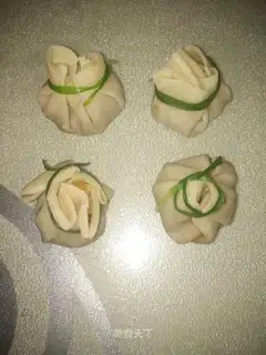 Fookbag dumplings