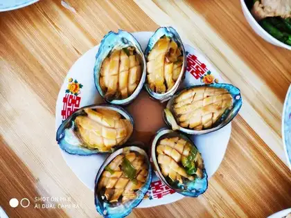 Water the abalone