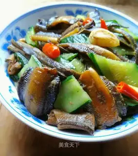 Squid cucumber