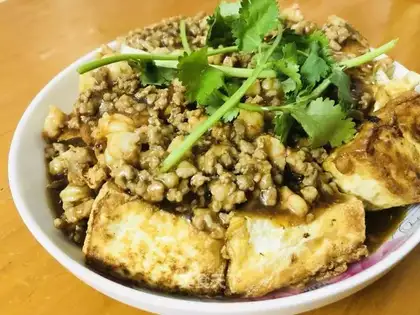 Meat tofu