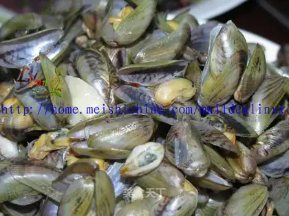 sea melon seeds