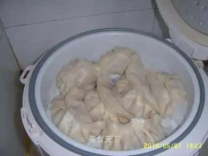 steamed dumplings