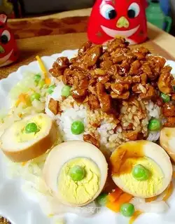 braised pork rice
