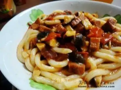 Dingding stewed Udon noodles