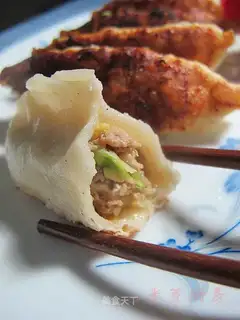 Cabbage and fresh meat pot stickers