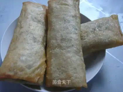 fried spring rolls