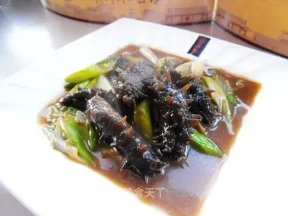 Burning sea cucumber