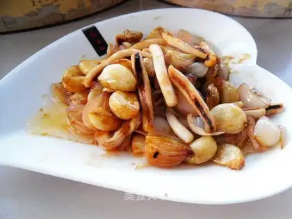 Onions of garlic burning squid
