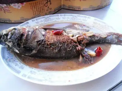 Red-burned mackerel