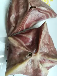 Starfish bag