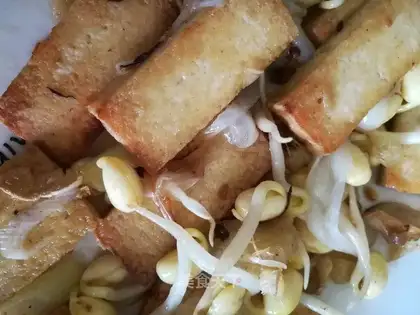 Tofu sprouts