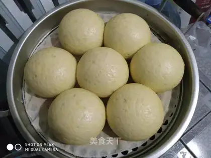 Food buns