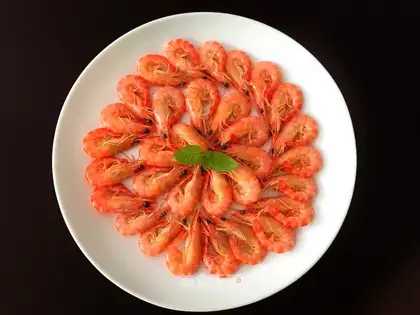 White burning shrimp