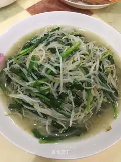 Green bean sprouts