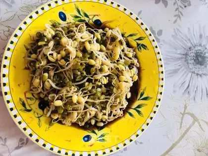The green bean sprouts