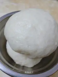 The yeast