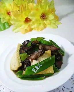 Dutch soy tofu
