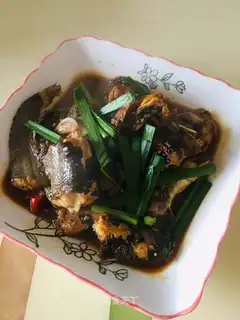 Red catfish