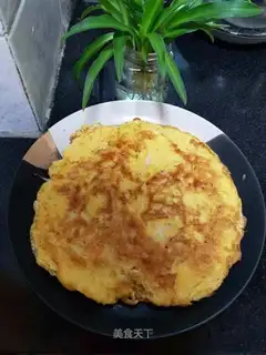 Silverfish fried eggs