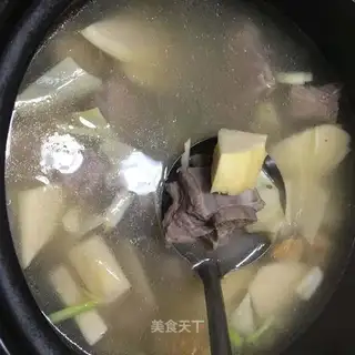 Spring pelvis