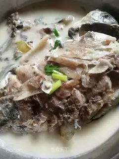 Squidfish