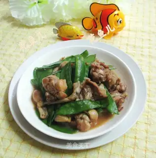 Dutch soy-fried cow frog
