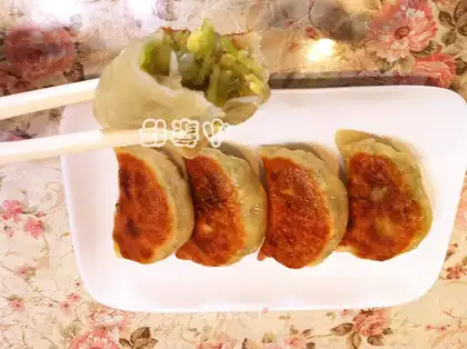 Pan-fried vegetable pot stickers
