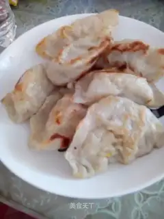 Fried dumplings
