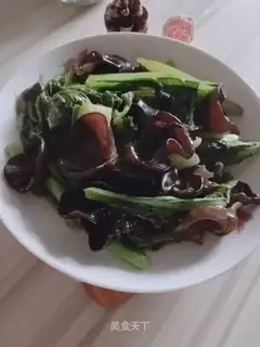 Spring food and wood