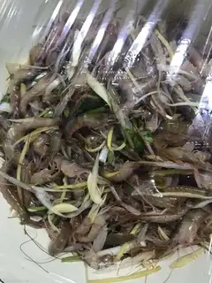 Shrimp