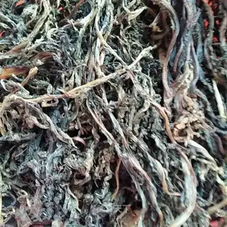 Homemade prunes