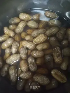 Salt-water peanuts