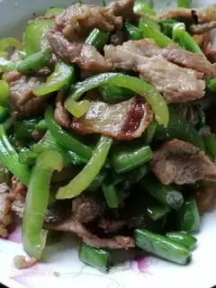 Fried meat