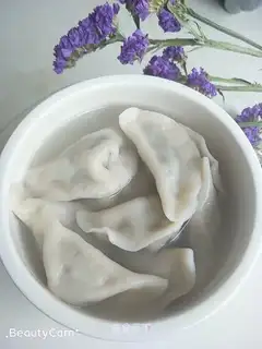 The dumplings