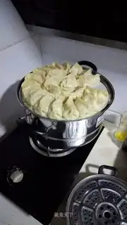 Pork dumplings