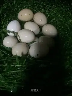 Eggs made from ground dishes