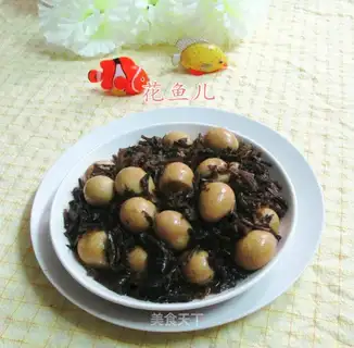 Bird's nest