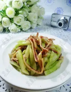 Squids, cucumbers