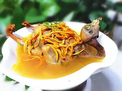 Worm grass and pigeon soup