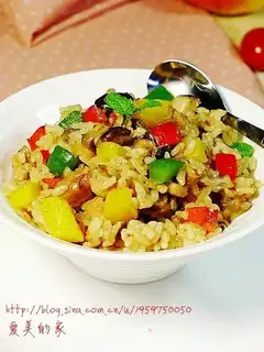 Stewed rice with chicken and mushroom