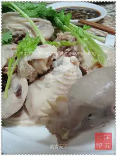 white pheasant