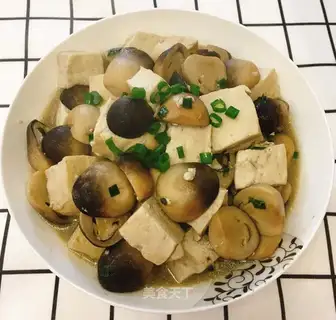 Tofu